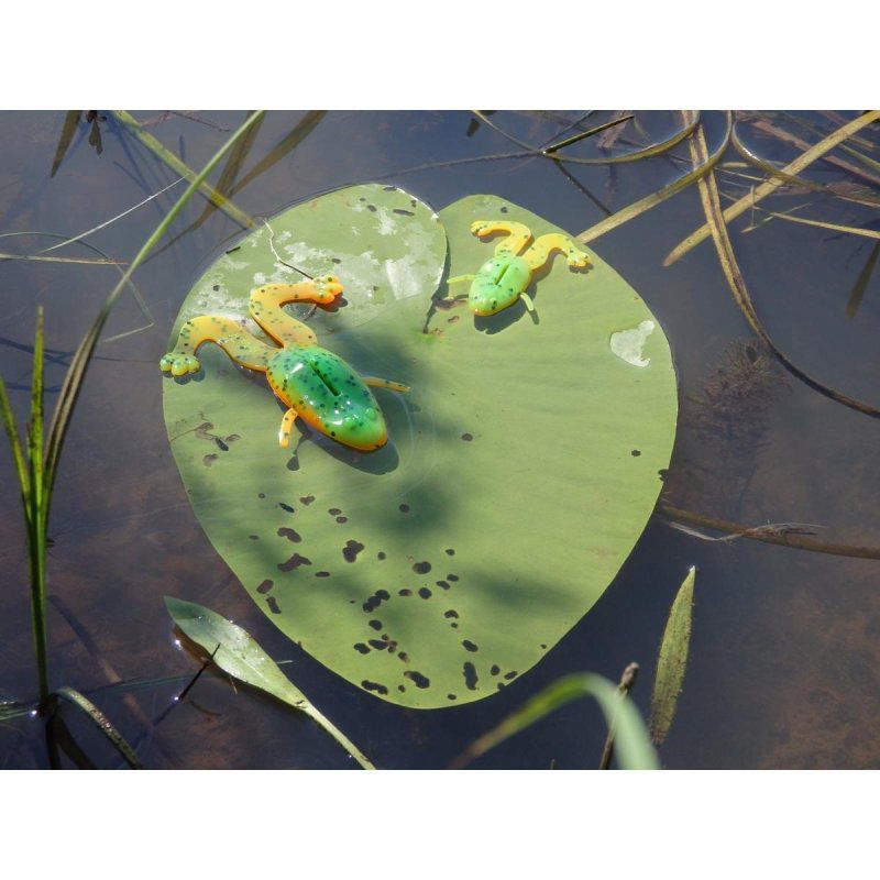 Лягушка несъедоб. Crazy Frog 2,36"/6,0 см Pepper Green & Orange 100шт. (HS-22-018-N) Helios