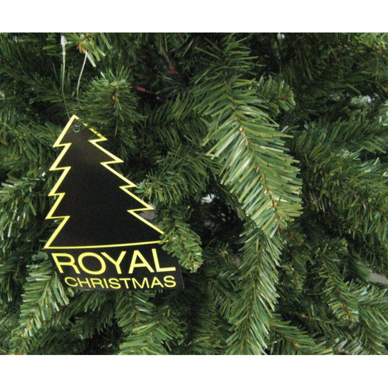 Ель Royal Christmas Washington 230120 (120 см)