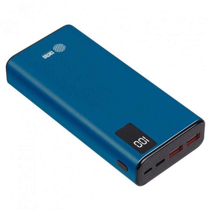 Аккумулятор внеш POWER BANK 20000 mAh CACTUS 2 USB литий-полим 1205766 263194 (1)