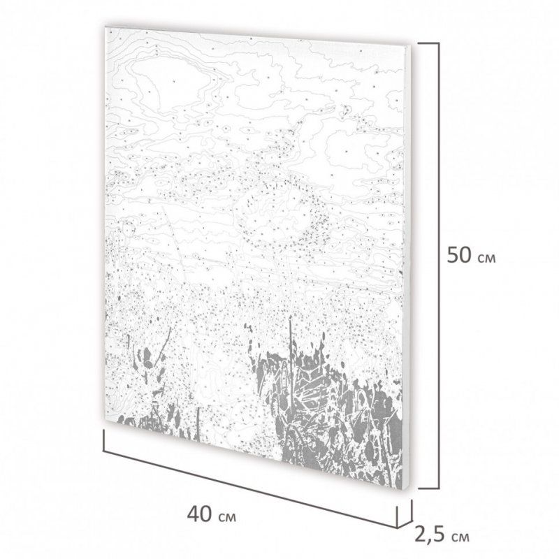 Картина по номерам 40х50 см ОСТРОВ СОКРОВИЩ Маковое поле на подрамн 662493 (1)