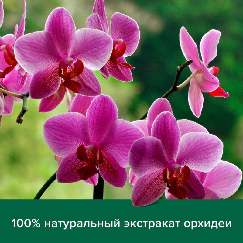 Гель для душа 750 мл PALMOLIVE НАТУРЭЛЬ Черная орхидея с увлажняющим молочком 609037 (1)