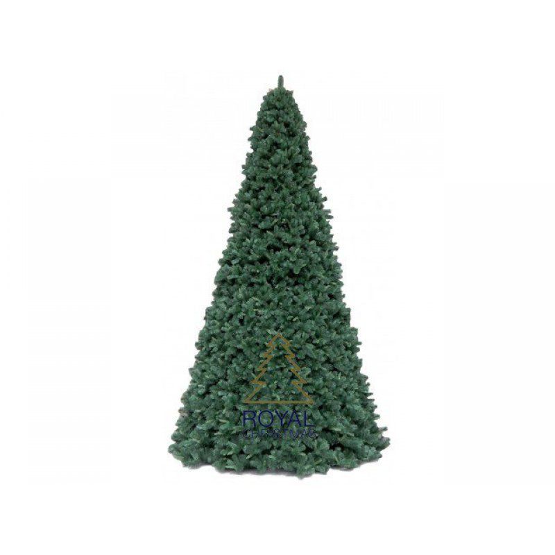 Ель высотная Royal Christmas Giant Trees (370 см)