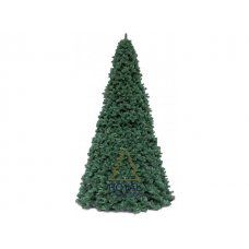 Ель высотная Royal Christmas Giant Trees (440 см)