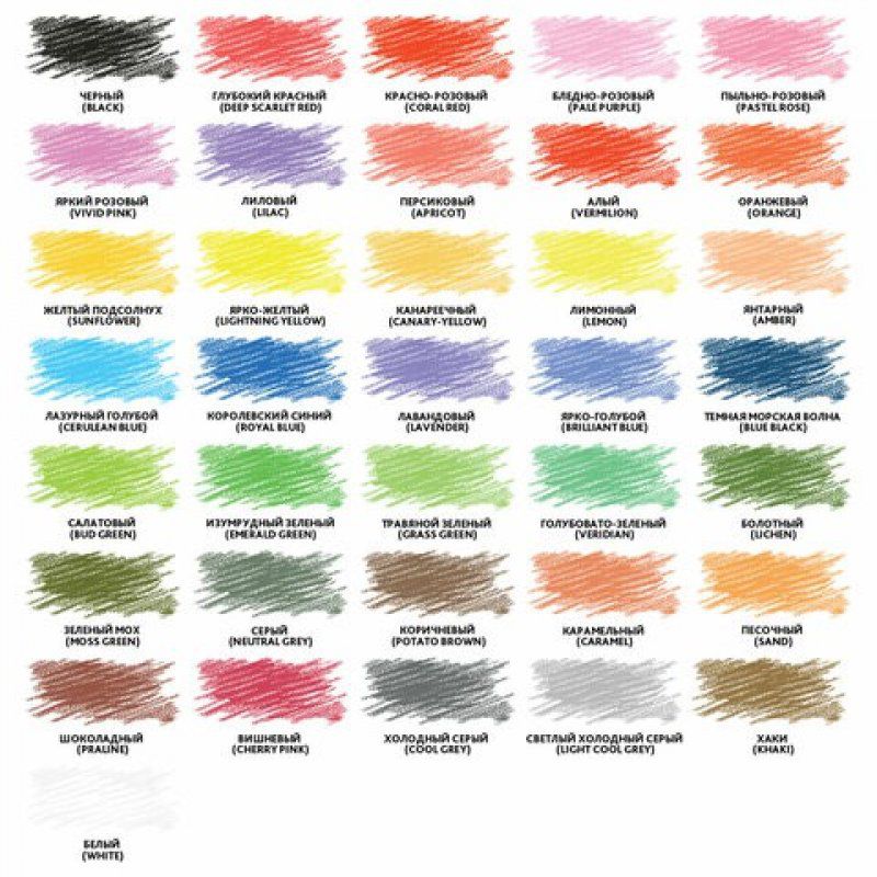 Карандаши цветные 36 цветов 3,3 мм 181659